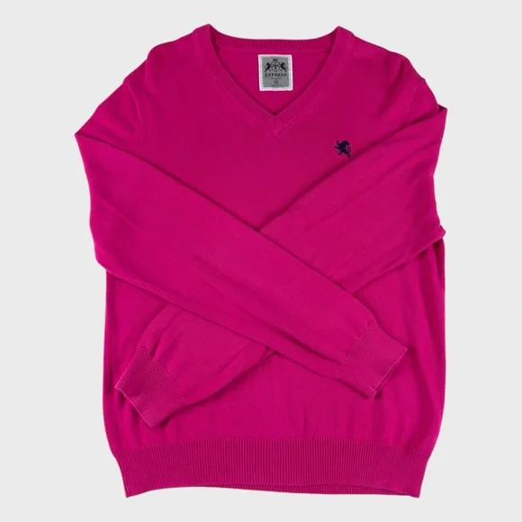 Express Pink V-Neck Sweatshirt - Picture 5 of 14